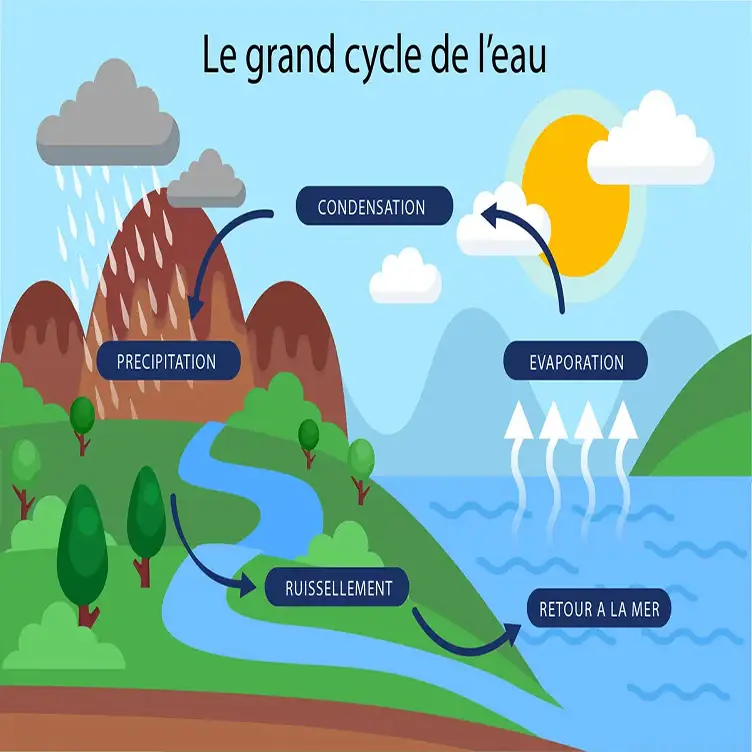 le cycle de l eau